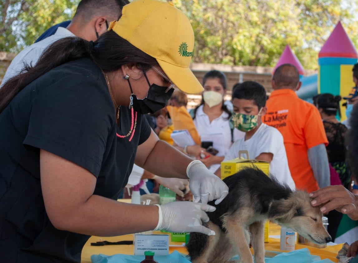 Jornada de vacunacion animal