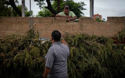 Por incumplir normativa ambiental sancionados tres vecinos en Raúl Leoni