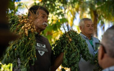 Producción agrícola, gastronomía y turismo: tres áreas en las que se promovió a Maracaibo en 2022