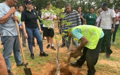 Alcaldía de Maracaibo siembra 114 árboles con apoyo de estudiantes de URBE,  Ciclistas Activos, asociación Arboleda y Club de Leones en la Prolongación C-2