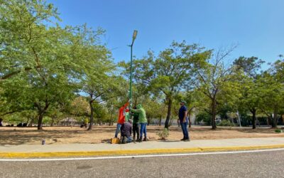 Instalan 11 postes de luz para reforzar alumbrado en ala suroeste del parque Vereda del Lago