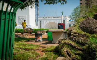 Maracaibo Verde: Alcaldía siembra mil metros de grama natural en Plaza de la República