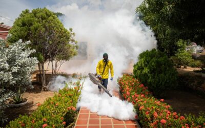 Plan de Fumigación de la Alcaldía llega a Caracciolo Parra Pérez y Cristo de Aranza