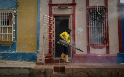 Marabinos califican fumigaciones de la Alcaldía como una solución en materia de salud pública