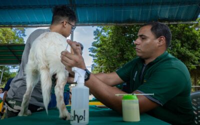 Mascotas de Cujicito IV en Idelfonso Vásquez reciben Jornada de Atención Veterinaria de la Alcaldía de Maracaibo