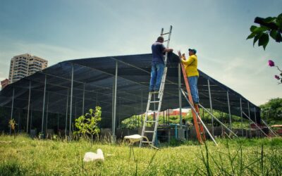 Renovación del Jardín Vivero Maracaibo: lo convertirán en una zona ecológica de recreación