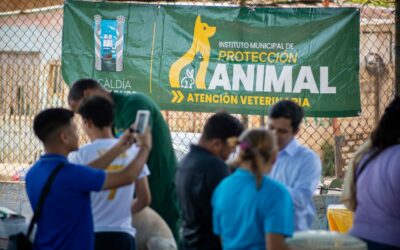 Más de 6.000 mil mascotas atendidas van en 2024 en Jornadas de Atención Veterinaria de la Alcaldía