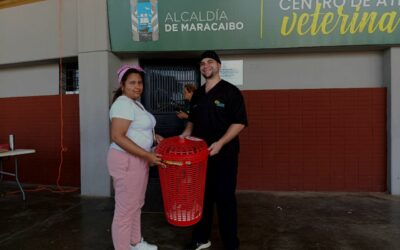 Más de dos mil felinos esterilizados en el Centro de Atención Veterinaria en lo que va de 2024: 130 en jornada del 6-S