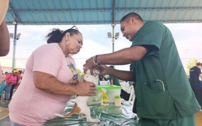 Alcaldía vacuna a más de mil 500 mascotas de enero a agosto de 2024: En Cristo de Aranza atendieron en jornada a 250