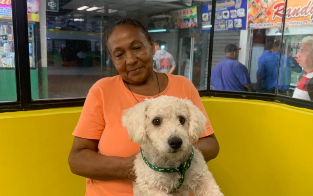 Terminal de Maracaibo les da la opción a los usuarios de viajar con mascotas, un espacio pet friendly