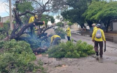 Alcaldía recuerda a la colectividad números para reportar emergencias por las lluvias