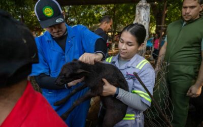 Programa de vacunación Protege tu Rebaño de la Alcaldía de Maracaibo llega a su sexta edición en San Isidro