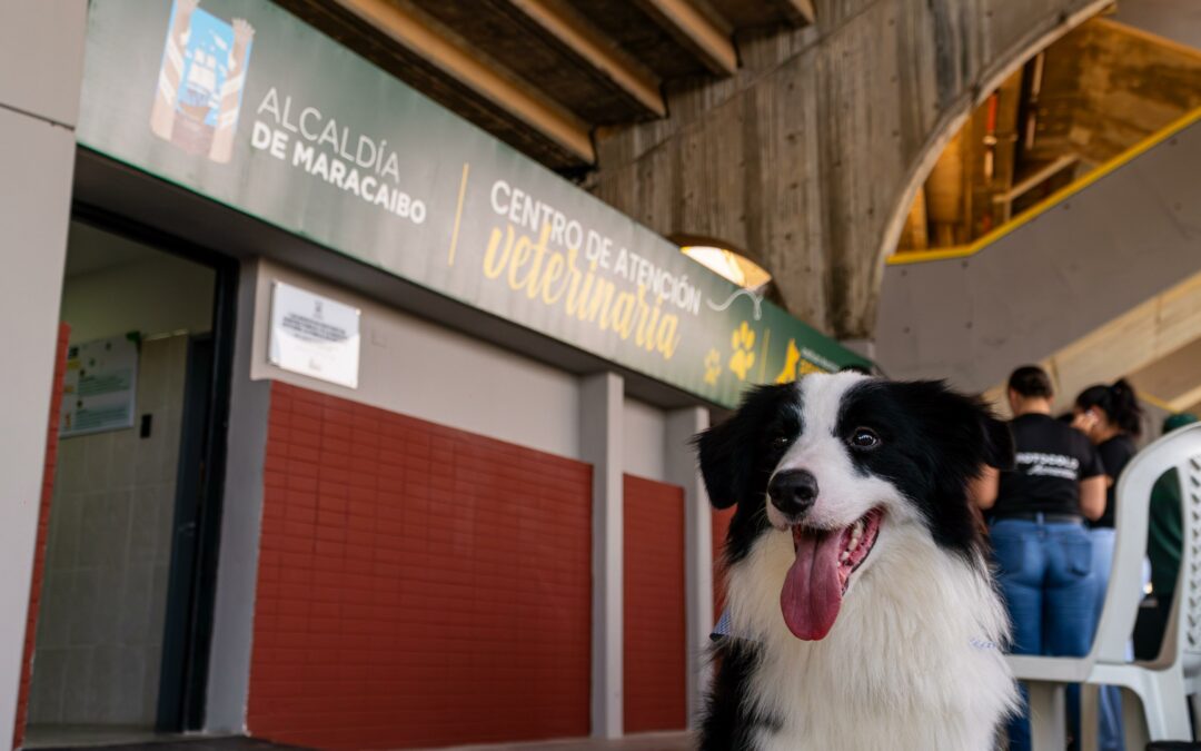 Centro de Atención Veterinaria de Maracaibo conmemora su primer aniversario con más de 11 mil atenciones de mascotas