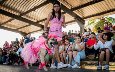 Desfile de Carnaval de Mascotas de la Alcaldía de Maracaibo innova en 2025 con las comparsas caninas Ladridos de Alegría