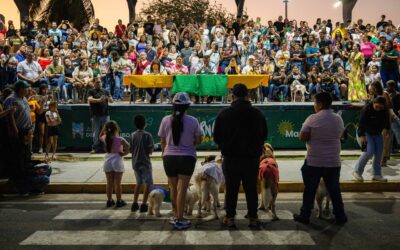 Más de 100 mascotas participaron en el desfile de Carnaval Ladridos de Alegría de la Alcaldía