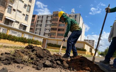 SAGAS reestablece suministro de gas en edificio Río Torondoy de Lago Azul: Beneficiadas más de 100 familias