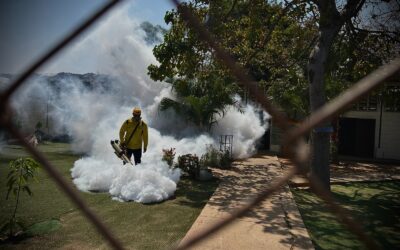 Alcaldía lleva a centros educativos y casas de abrigo plan de fumigación de DISMU